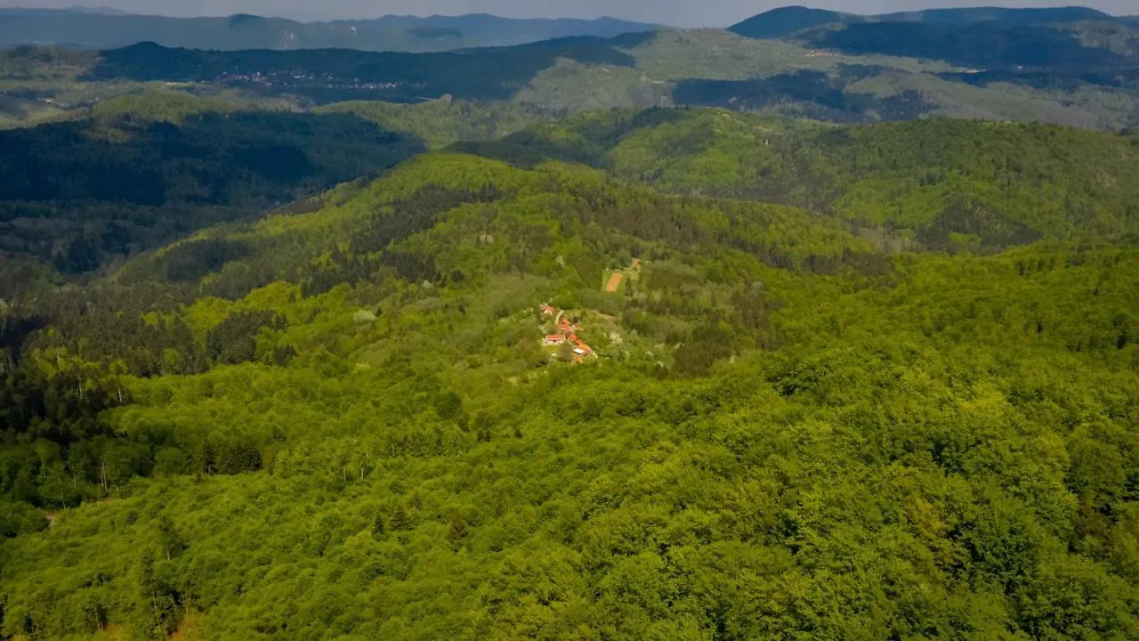 Apartment Holiday House Pecisce Skrad